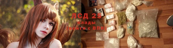молекула духа Арсеньев