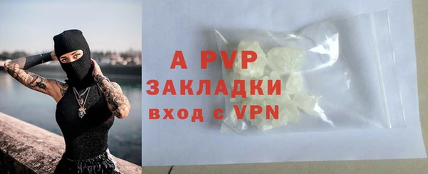 молекула духа Арсеньев